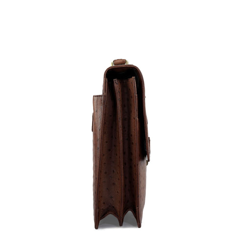 Ostrich Leather Portfolio - Brown